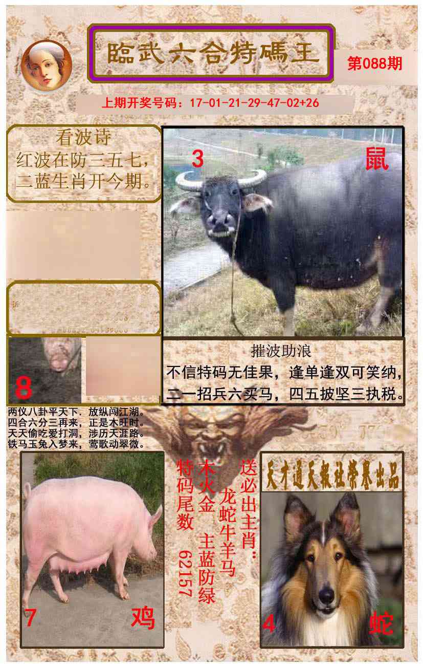088期临武六合特码王[图]